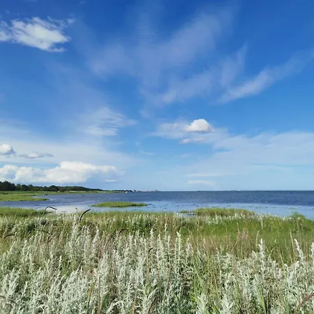 Oasen Søby